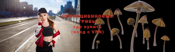 mix Аркадак